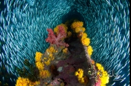 Milne Bay, Papua New Guinea