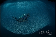 Misool - Raja Ampat