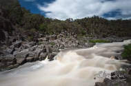 Tasmania